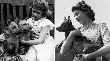 Queen Elizabeth II mit ihren Corgis in jungen Jahren - Foto: Lisa Sheridan / Freier Fotograf / Getty Images (2)