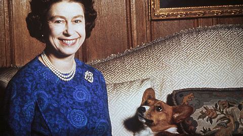 Queen Elizabeth mit einem ihrer Hunde 1970. - Foto: Keystione/Hulton Archive/Getty Images