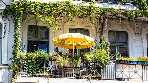 Grün bepflanzter Balkon in der Stadt. - Foto: querbeet / iStock