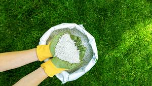 Hände, die Granulat Rasendünger halten - Foto: iStock / ronstik