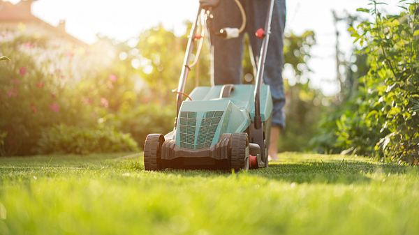 Rasenmäher mit Antrieb - Foto: Istock/mgstudyo