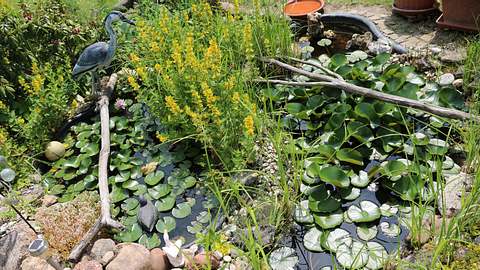 Ein Reiherschreck schützt den Teich vor Reihern - Foto: iStock/ ClaraNila