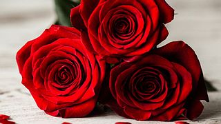 Was bedeuten rote Rosen? - Foto: iStock