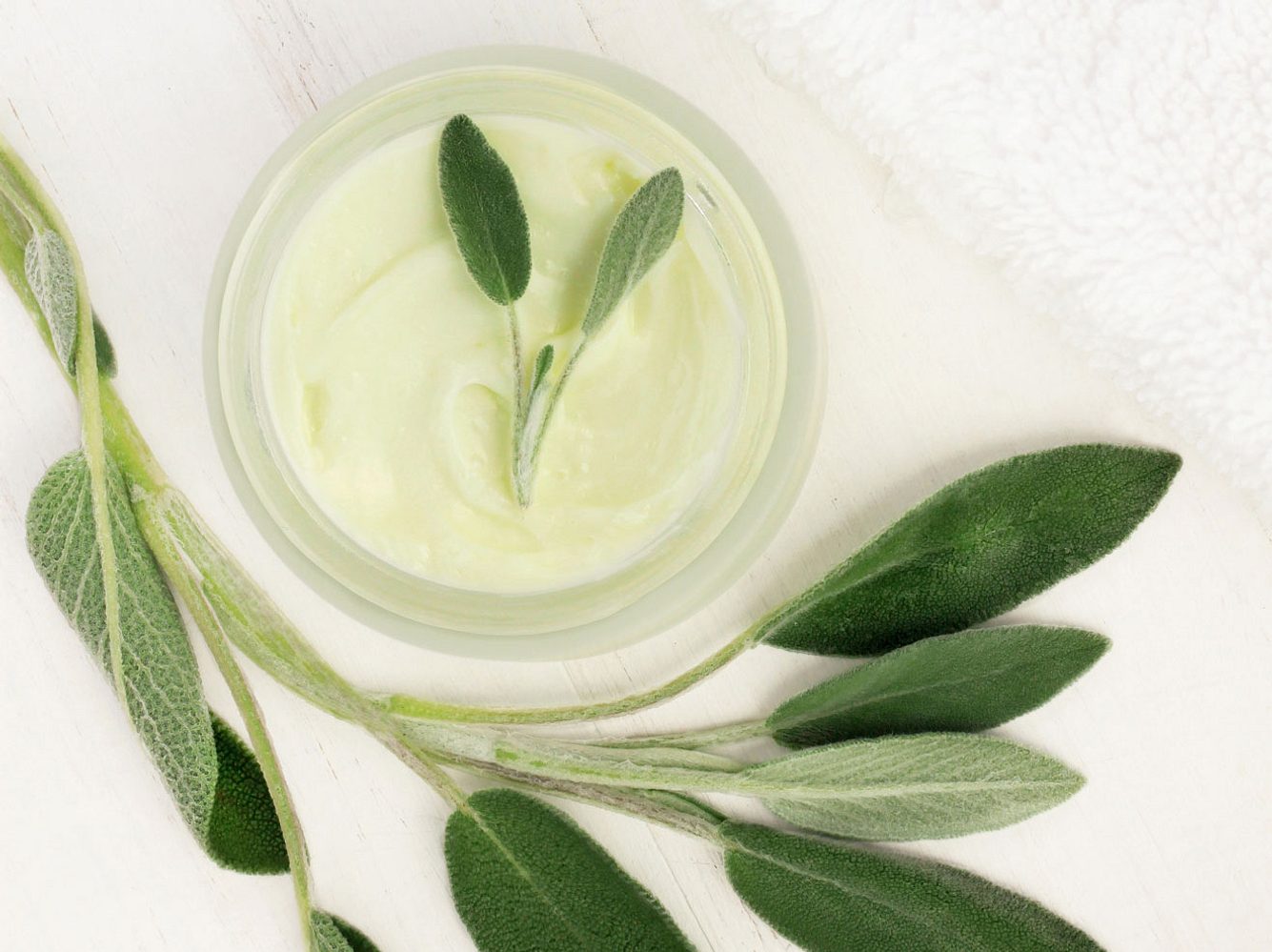 Zerlassene Salbeibutter in einem Glasschälchen, dekoriert mit Salbeiblättern. Zerlassene Salbeibutter in einem Glasschälchen, dekoriert mit Salbeiblättern.