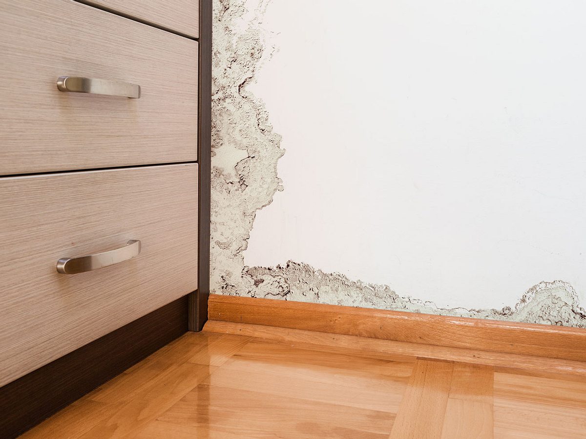 Schimmel Im Haus Entfernen Und Vorbeugen Liebenswert Magazin