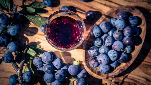 Schlehenlikör im Glas - Foto: iStock / Andreas Steidlinger