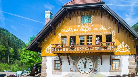 Schwarzwald: Großes Glück zum kleinen Preis - Foto: KenWiedemann / iStock