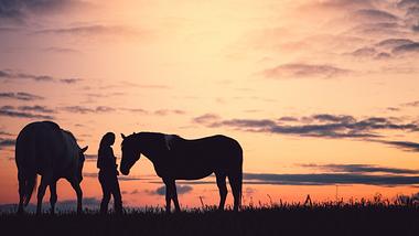 Noch einmal als letzten Wunsch ein Pferd streicheln.  - Foto: debibishopn / iStock