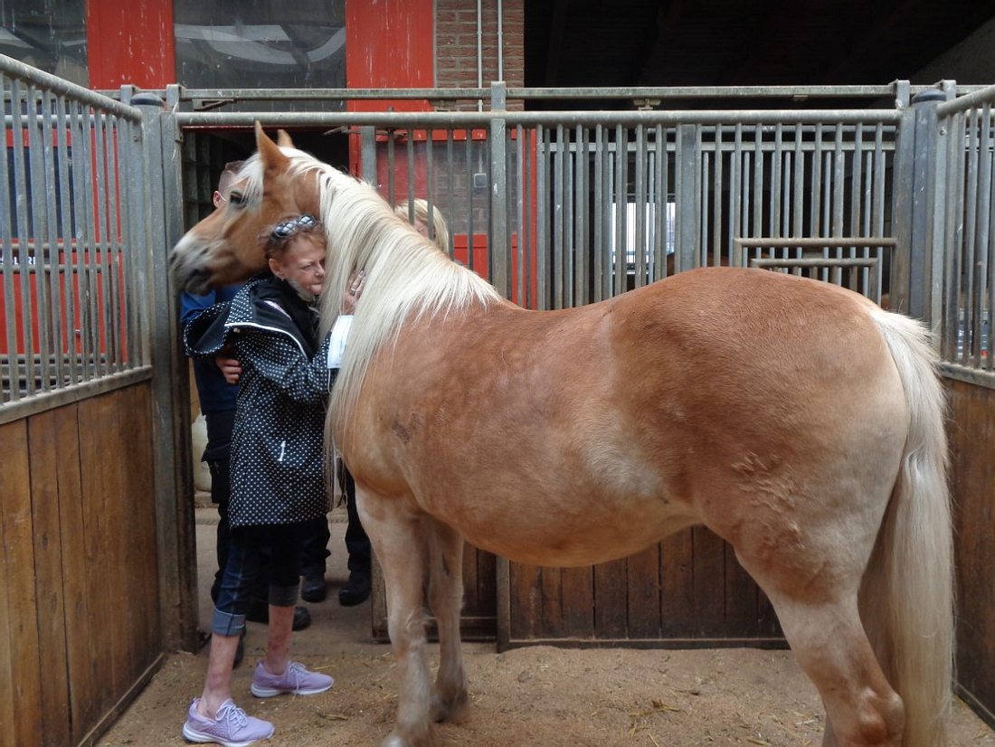 Petra W. kuschelt mit einem Pferd. Petra W. kuschelt mit einem Pferd.