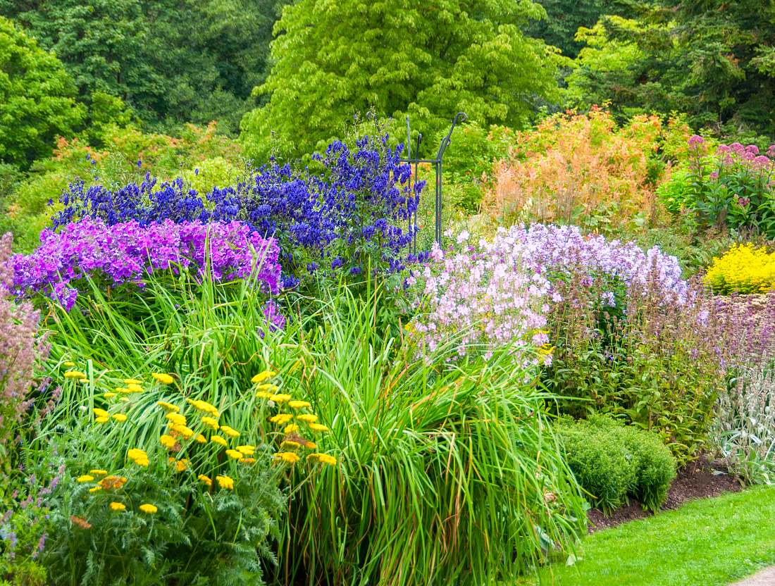 Ein Staudenbeet sorgt für eine bunte Blütenpracht im Garten. Ein Staudenbeet sorgt für eine bunte Blütenpracht im Garten.