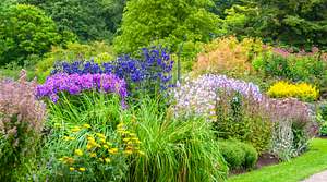 Ein Staudenbeet sorgt für eine bunte Blütenpracht im Garten. - Foto: Martin Wahlborg / iStock