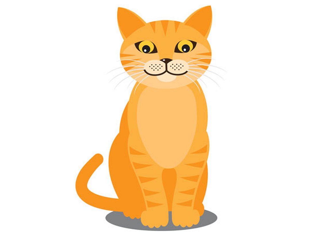Was eine Katze als Symbol im Selbsttest darstellt.