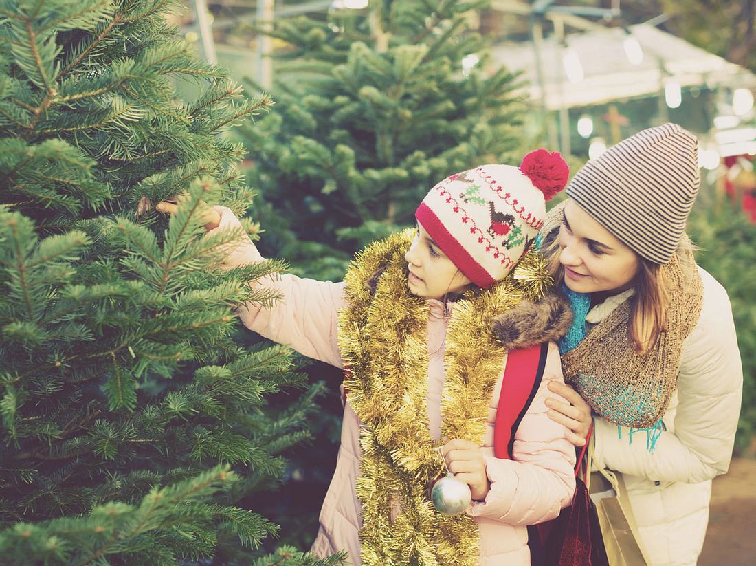 Tipps für den Tannenbaum-Kauf