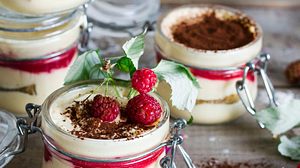 Himbeer-Tiramisu - Foto: Galina Zhigalova / iStock