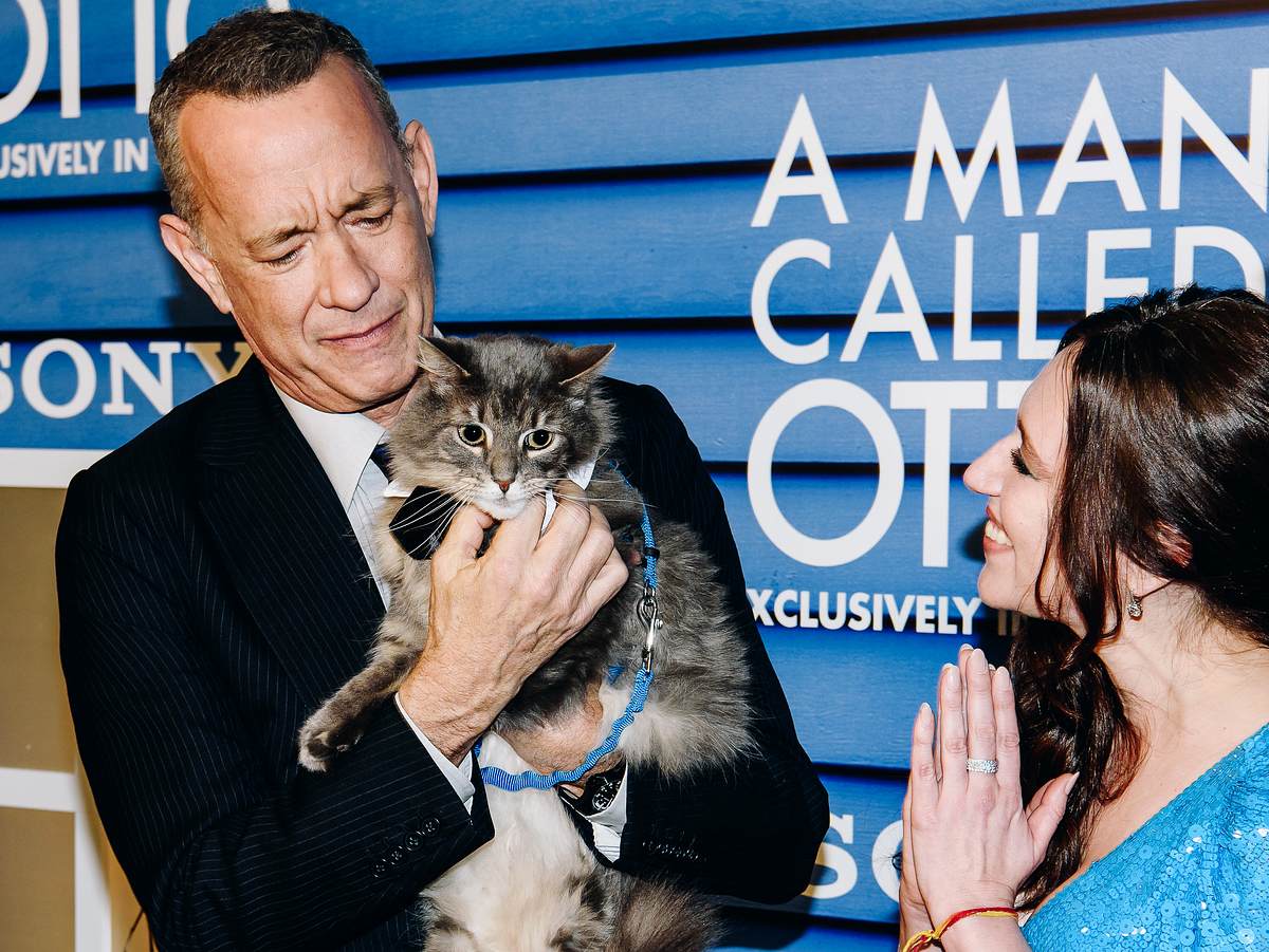 Tom Hanks mit Co-Stars 