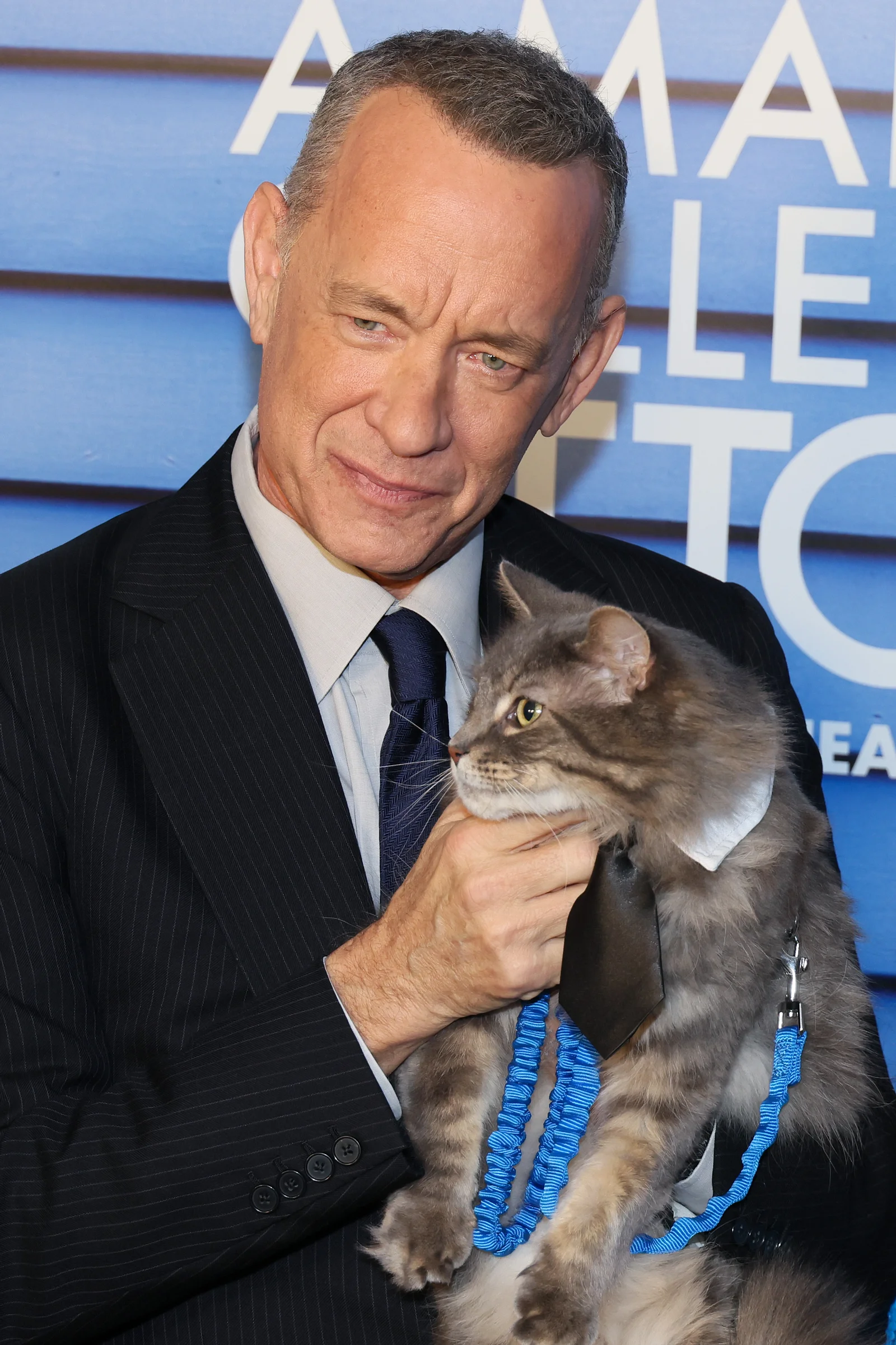 Ein Mann namens Otto: Tom Hanks neuster Co-Star ist ein Kater |  Liebenswert Magazin