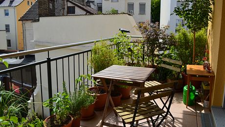 Unkomplizierte Balkonpflanzen im Outdoor-Bereich - Foto: iStock/ HagaiLeal