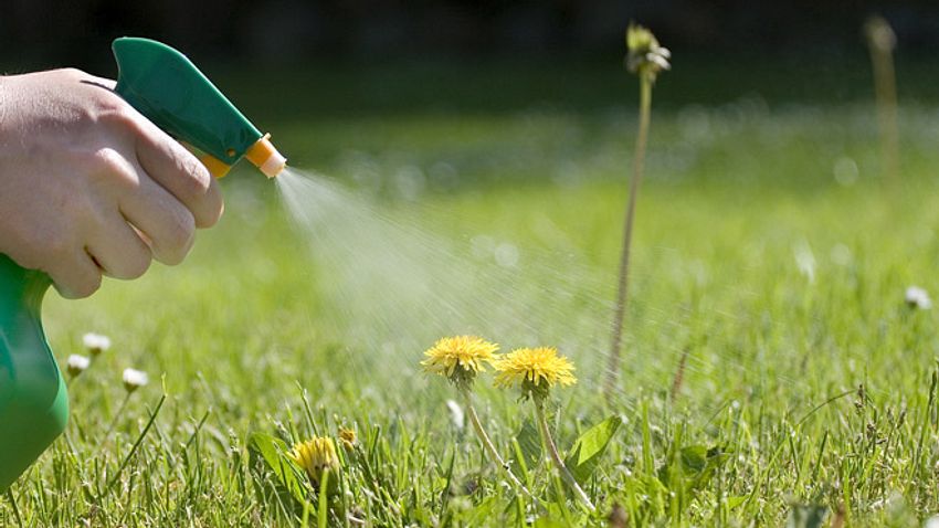 Unkrautvernichter aus der Flasche? Das muss nicht sein. - Foto: Wega52 / iStock