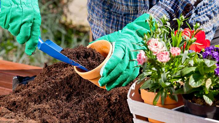 Urgesteinsmehl für Blumen - Foto: iStock/gkrphoto