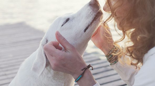 Von Hunden können wir viel lernen - Foto: fcscafeine / iStock