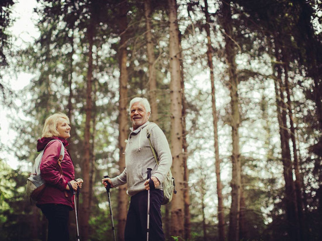 10 Gründe: Warum ein Waldspaziergang so gesund ist 10 Gründe: Warum ein Waldspaziergang so gesund ist