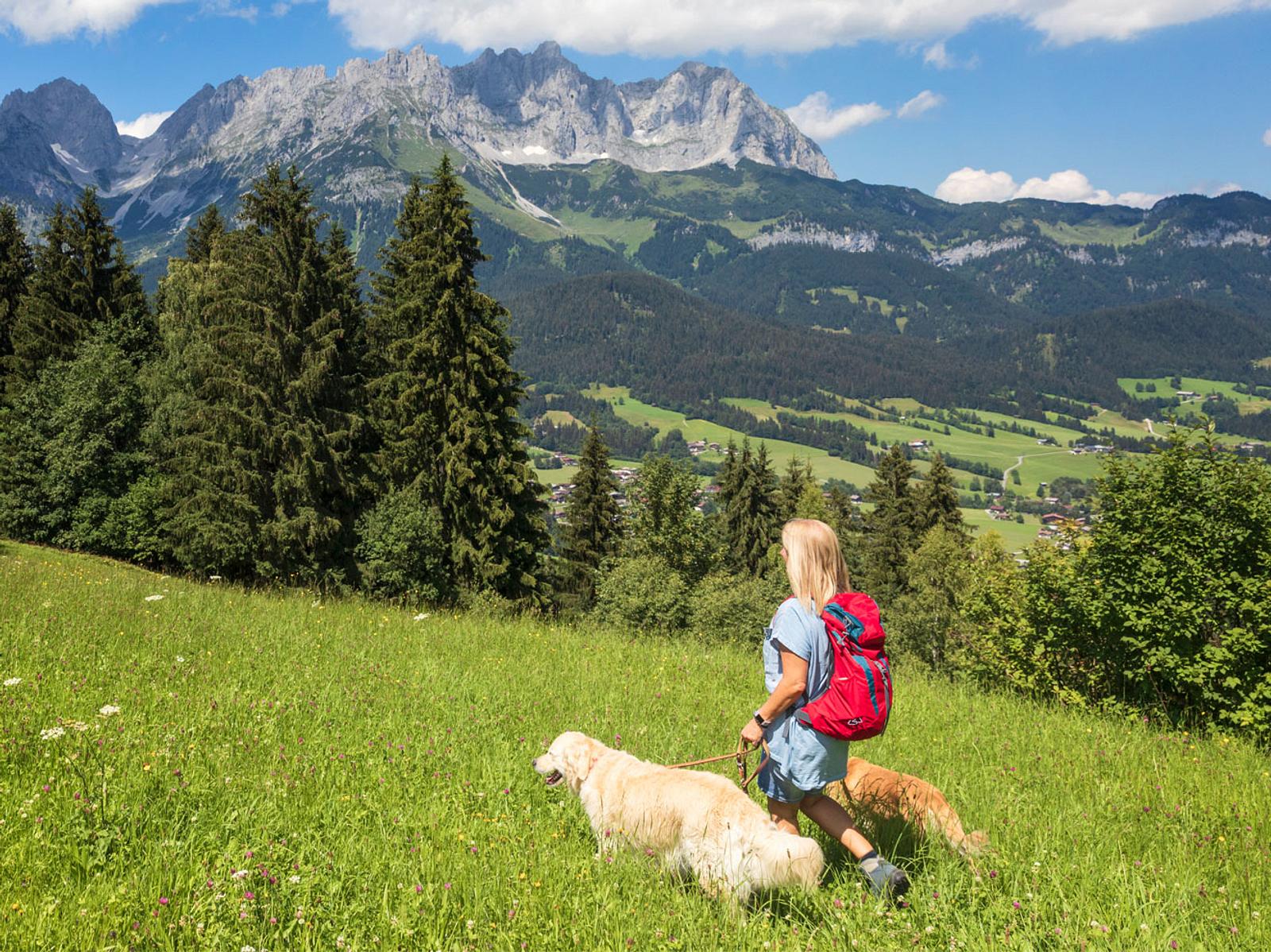 Urlaub Und Bergwandern Mit Dem Hund Wandern Mit Hund