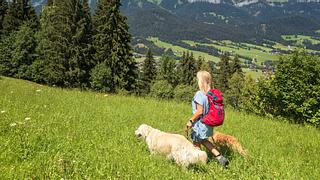 Wandern mit Hund: Das sollten Sie beachten - Foto: DieterMeyrl / iStock