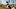 Wanderurlaub mit Hund: Die schönsten Touren - Foto: MaxBaumann / iStock