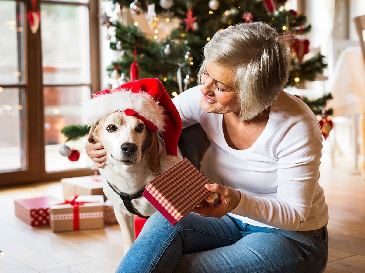 Die besten Weihnachtsgeschenke für Hunde