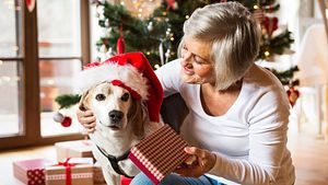 Die besten Weihnachtsgeschenke für Hunde - Foto: Halfpoint / iStock