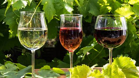 Verschiedene Weinsorten.  - Foto: Togapix / iStock