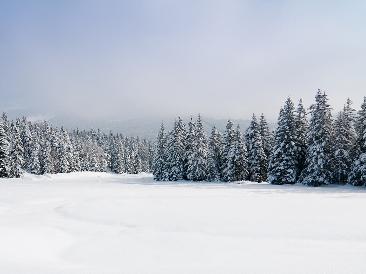 Wie wahrscheinlich ist Schnee an Weihnachten?