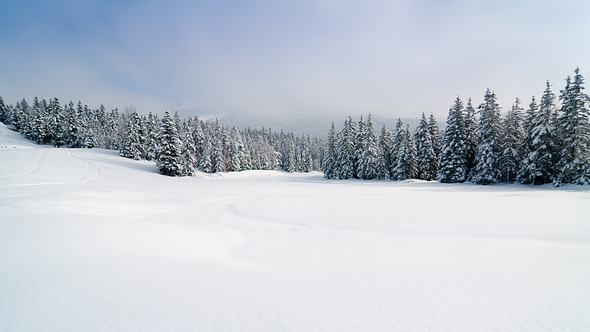 Wie wahrscheinlich ist Schnee an Weihnachten? - Foto: iStock/mmac72
