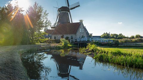 Windmühle in Nordholland - Foto: Alamy