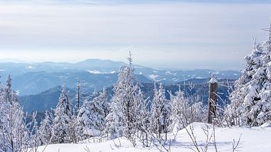 So schön ist ein Winterurlaub im Sauerland - Foto: MissPassionPhotography/iStock
