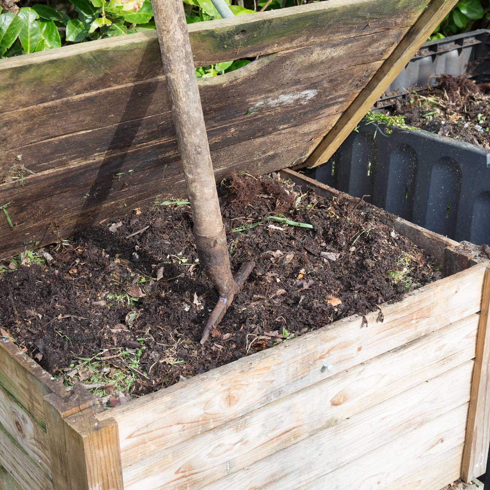 Wie Sie mit einer Wurmfarm Kompost zu Dünger verwandeln