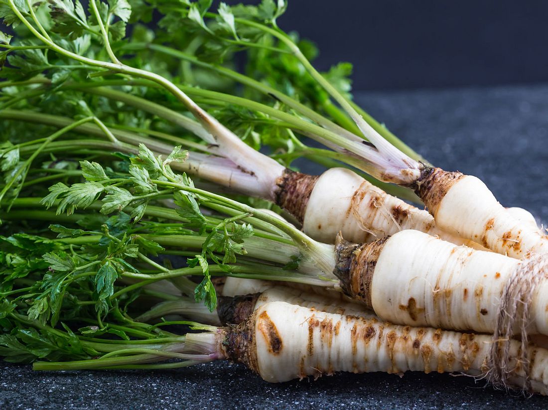 Die Wurzelpetersilie sieht äußerlich aus wie eine Pastinake. So pflanzen Sie Petersilie selber an.