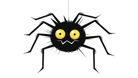 Anstatt Spinnen zu töten, können Sie sie zum Beispiel mit einem Spinnenfänger entfernen. - Foto: vabadov / iStock