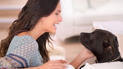 Manchen mag es vielleicht kindisch vorkommen, wenn Haustierbesitzer mit Hund und Katze sprechen - doch Experten sagen, dass dieses Verhalten sogar ein Zeichen von Intelligenz ist. - Foto: Yuri_Arcurs / iStock