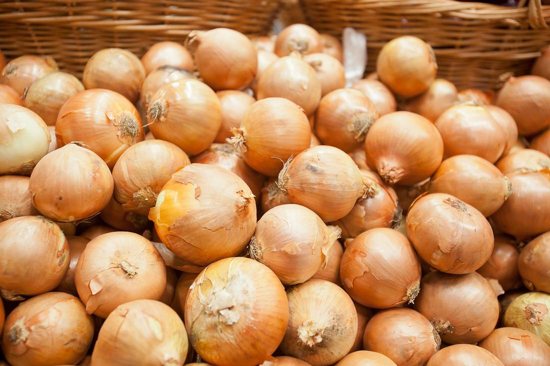 Zwiebeln lagern Zwiebeln lagern